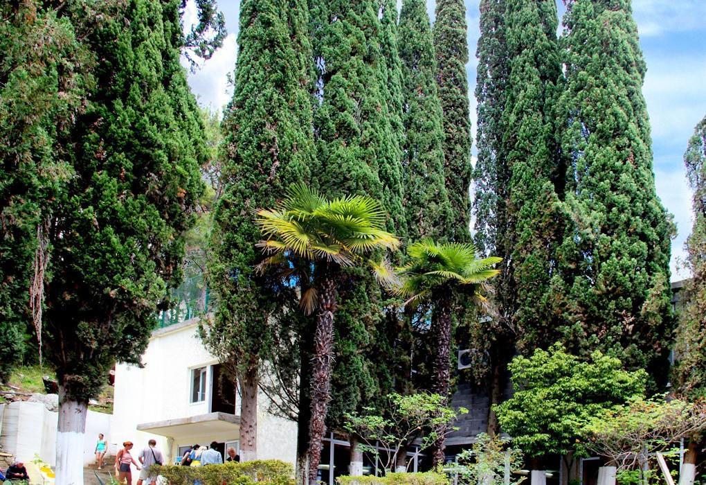 Pansionat Solnechniy Gagra Exterior photo